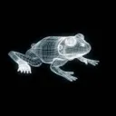 frogs arent real theyre holograms