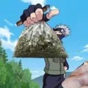hidden weed village