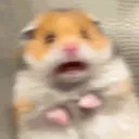 🐹⁷