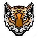 Tiger Realm Server Icon