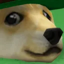 Memiarze Aki