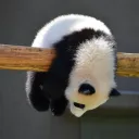 にあのトイレ