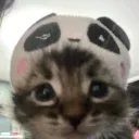 Moonlight Bay Discord Server Icon