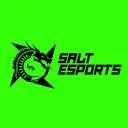 Salt Esports