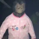 monki skuad