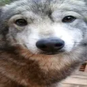 me discord