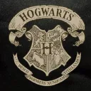Hogwarts School of Witchcraft and Wizardry