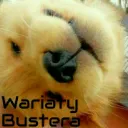 Wariaty Bustera