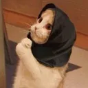 猫アアアアのブックメーカー通知部屋