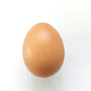 World Record Egg