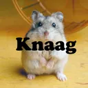 Knaagdieren En Kippen Discord