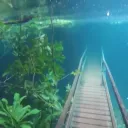 A Strange Place