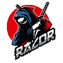 RAZOR ZONE