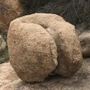 Rock Bottom