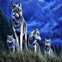 The Wolfpack Den