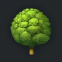 🌳 The Tree 🌳