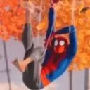 the spider-verse™