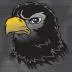 InquisitiveHawK
