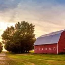 The Farm