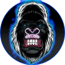 NordiMonki Discord Hub