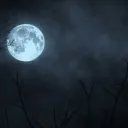 SAO Clan