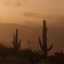 The Wild Americas