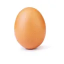 Make This The Largest EGG Discord