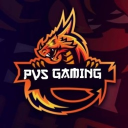 Discovery icon for PVS GAMING Discord server