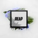 Reapers