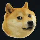 team doge