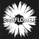 the (un)official badflower discord