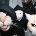 Discovery icon for Crew Universe Discord server