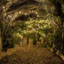 The Hidden Village