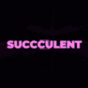 Succculent’s Haven icon