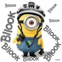 Bilook's Server