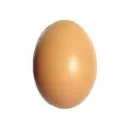 Can We Get This Egg 5k Members 😀