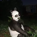 ℂ𝕆𝕋𝕋𝕆ℕ 𝔽𝕀𝔼𝕃𝔻𝕊