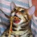 SpaghettiNoodle