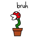 Piranha Plant Clan
