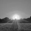 White Sun Dreams