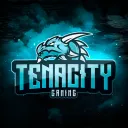 Tenacity Gaming | Network