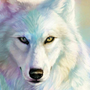 Aesthetic Wolves