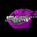 https://cdn.discordapp.com/icons/539903483516813313/f9b7d07612bd11fd07ea4d01edb16b14.jpg?size=128