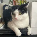 Luna’s Lounge