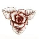 Maiden Rose