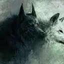 Wolf Army