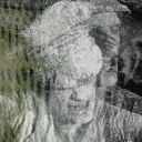 Server of the Molé Discord server icon