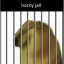 Horny Jail