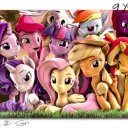 Brony and Pegasister Repulic