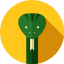 Pletkai icon